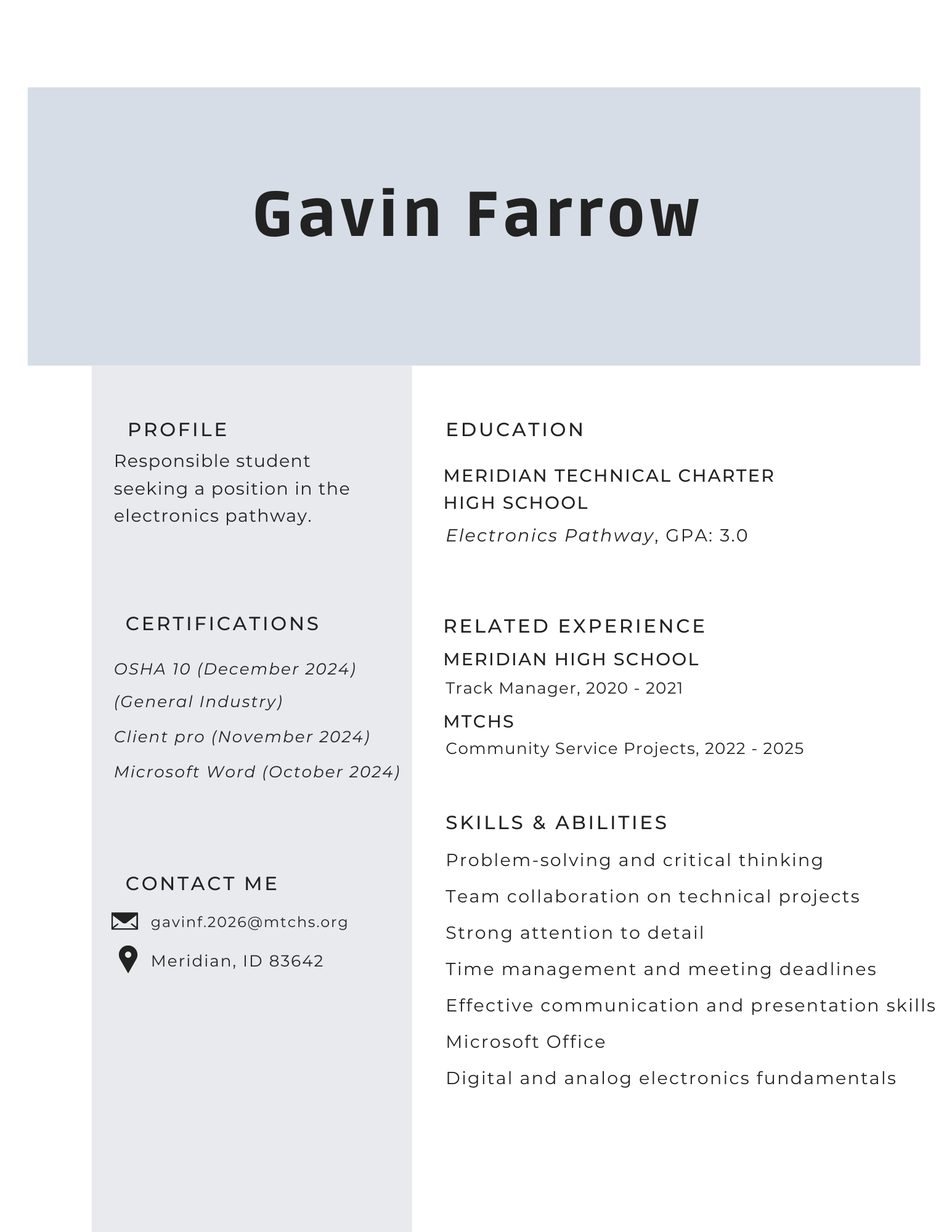 Resume Preview